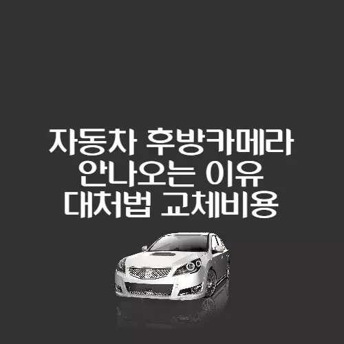 후방카메라_썸네일