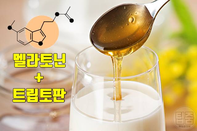 불면증에 좋은 음식 우유 꿀 천연 불면증 치료제