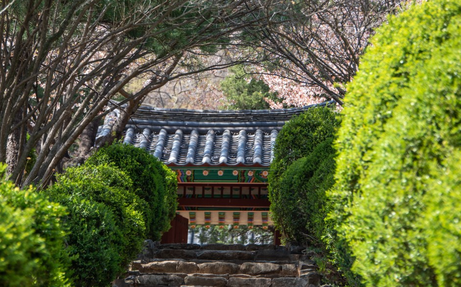 영월 가볼만한곳 베스트10 선정