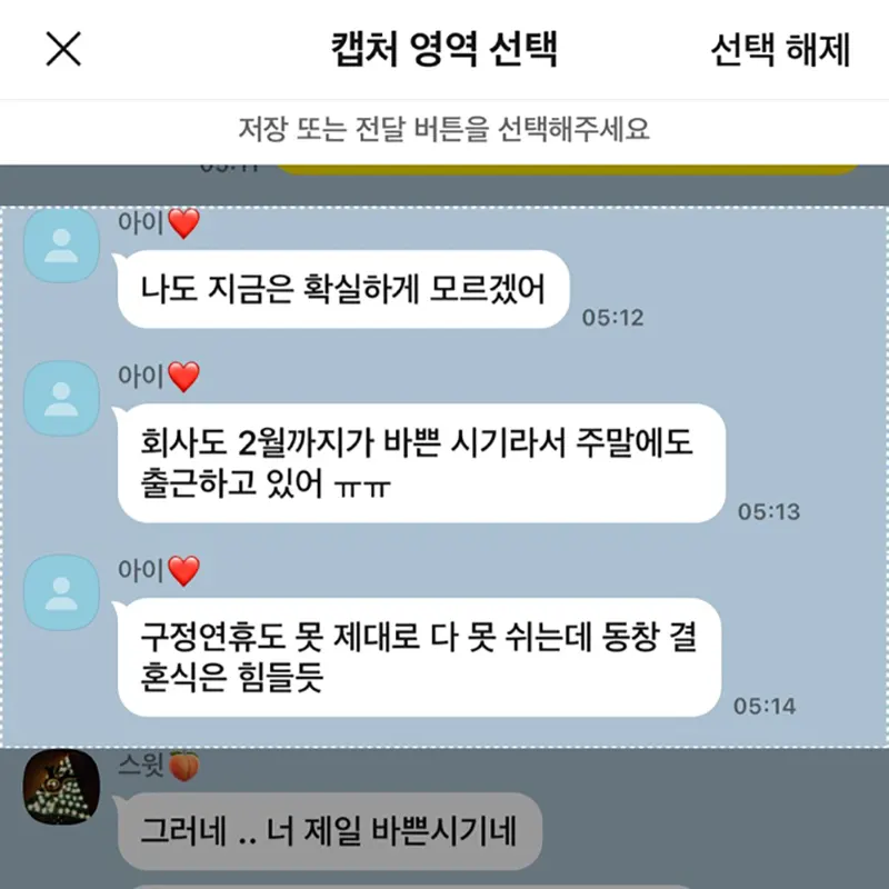 캡처-영역-선택