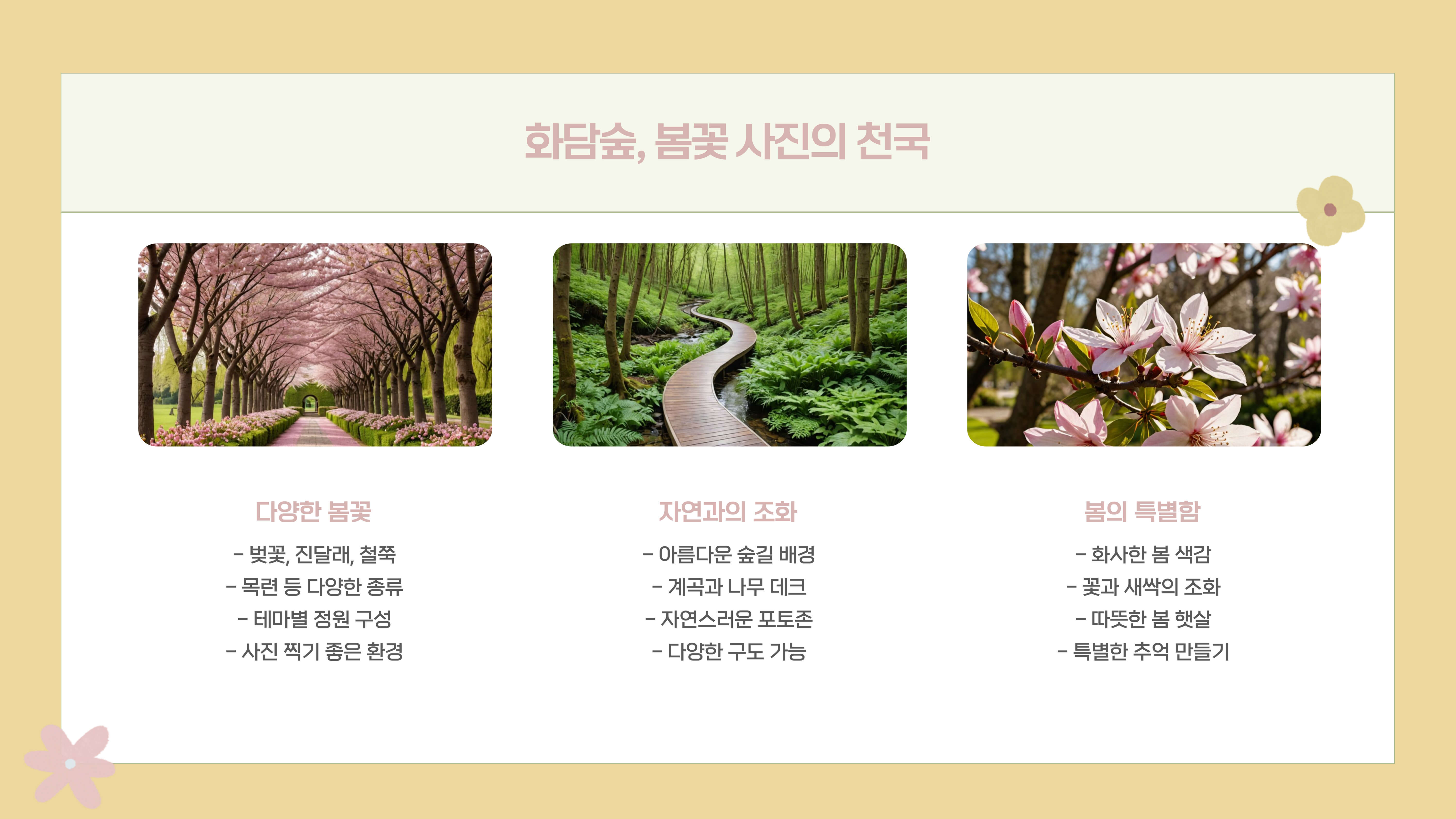 화담숲 봄꽃 사진 촬영 팁