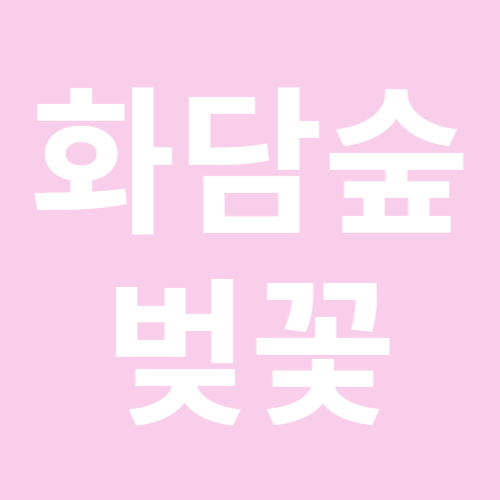 화담숲 벚꽃 예약