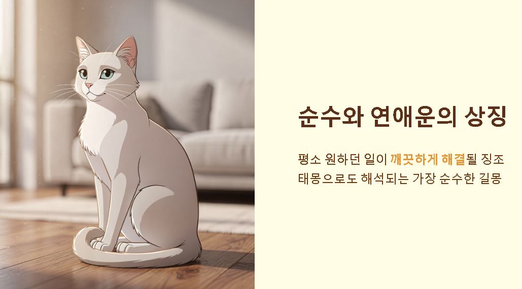 고양이 꿈해몽