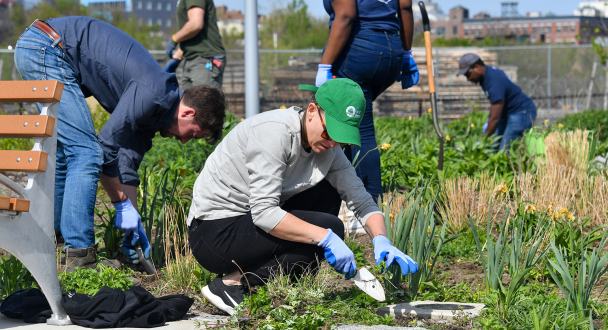 노인일자리 공익활동 참여 모습