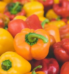 파프리카 효능 부작용 고르는법 칼로리