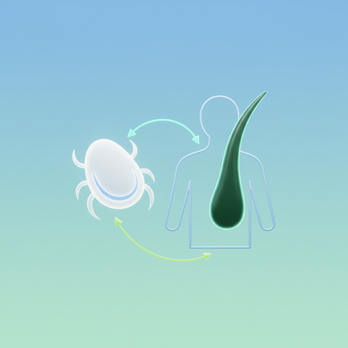 사면발이, 어떤 벌레고 왜 생길까요?