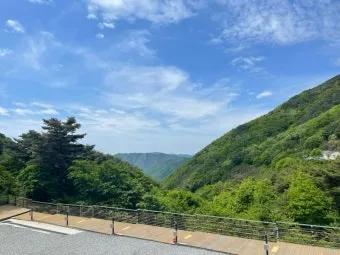 5월 쏘가리 금어기 시작 전국 금지 기간 완벽 정리와 낚시 규정_24