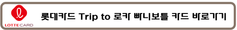 빠니보틀 해외할인 국내할인 아메리칸익스프레스 AMEX 마스터