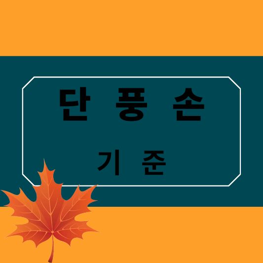 단풍손이란? 기준·장점·단점 총정리