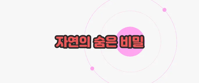 마가목 효능 한 번 정리해볼까요