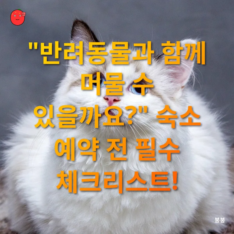 반려동물 여행_2