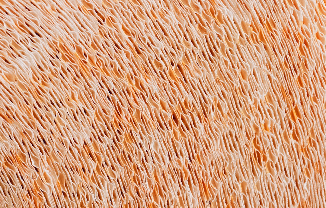 Collagen