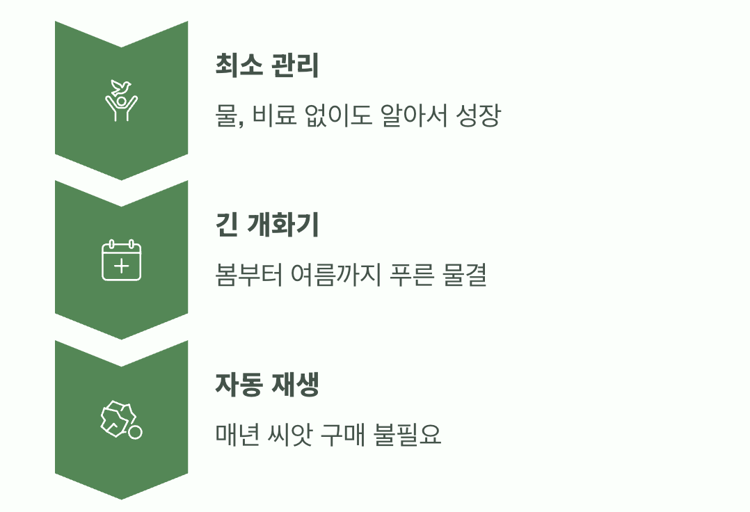 그럼에도 사랑할 수밖에 없는 이유