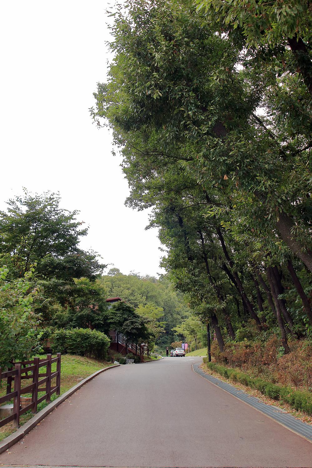 경기도 광명도덕산캠핑장