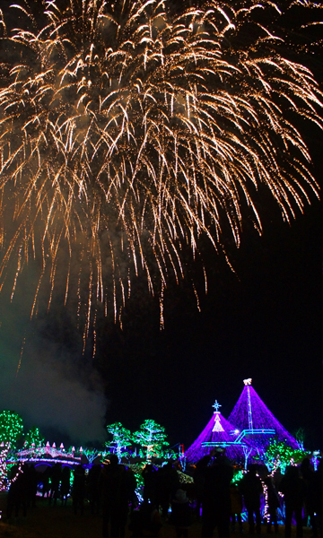 태안 네이처월드 빛축제 꽃정원