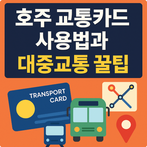 호주 교통카드 사용법 대중교통 꿀팁