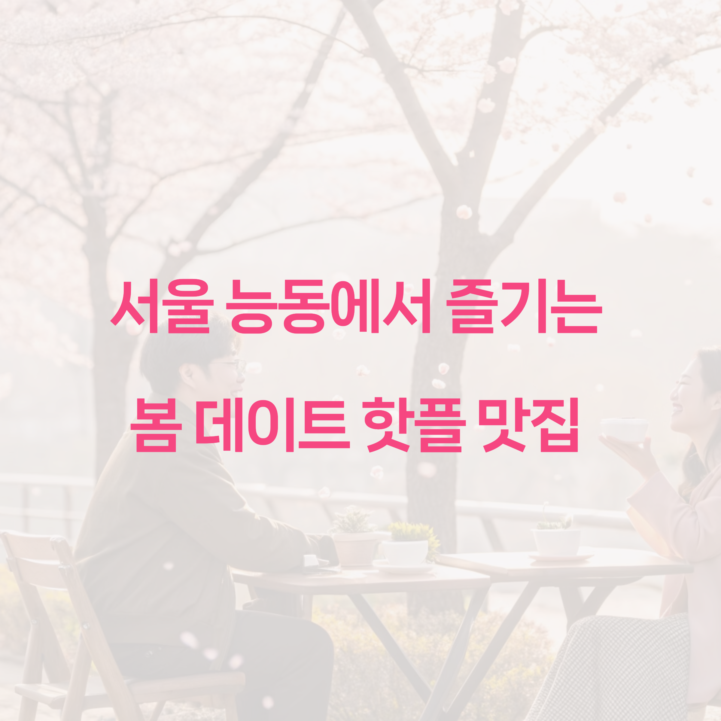 벚꽃 이미지