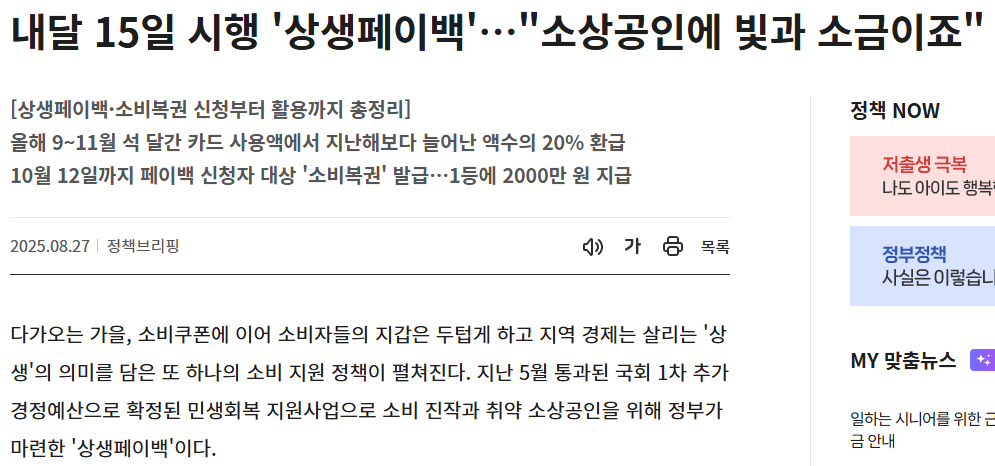 상생페이백 소비액 불인정 사용처! 결제 전 필독 (출처 : 정책브리핑)