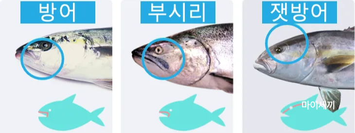 방어 구별법