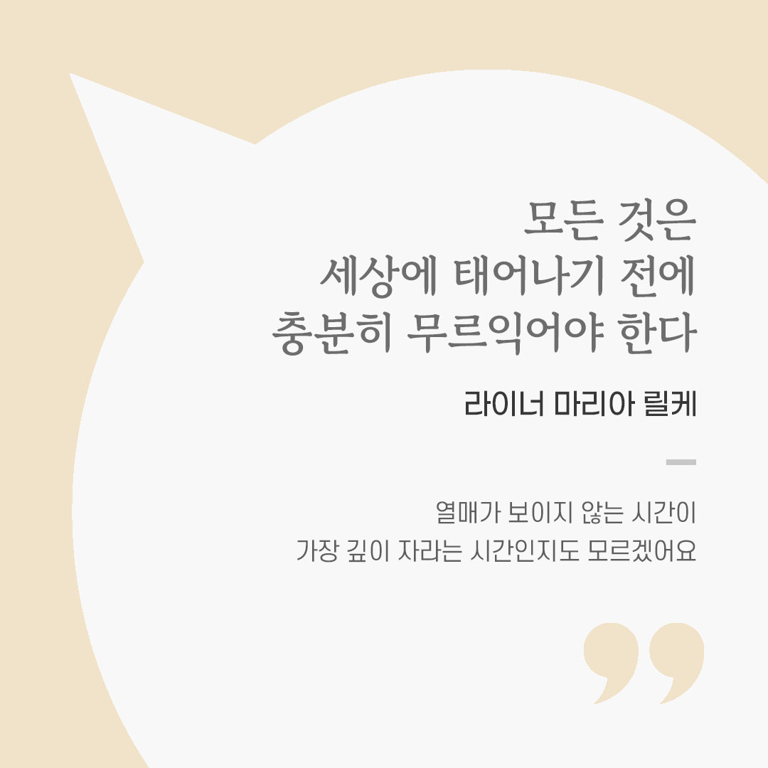 용기를 전하는 가톨릭 말씀 카드, 위로와 힘이 되는 좋은 글