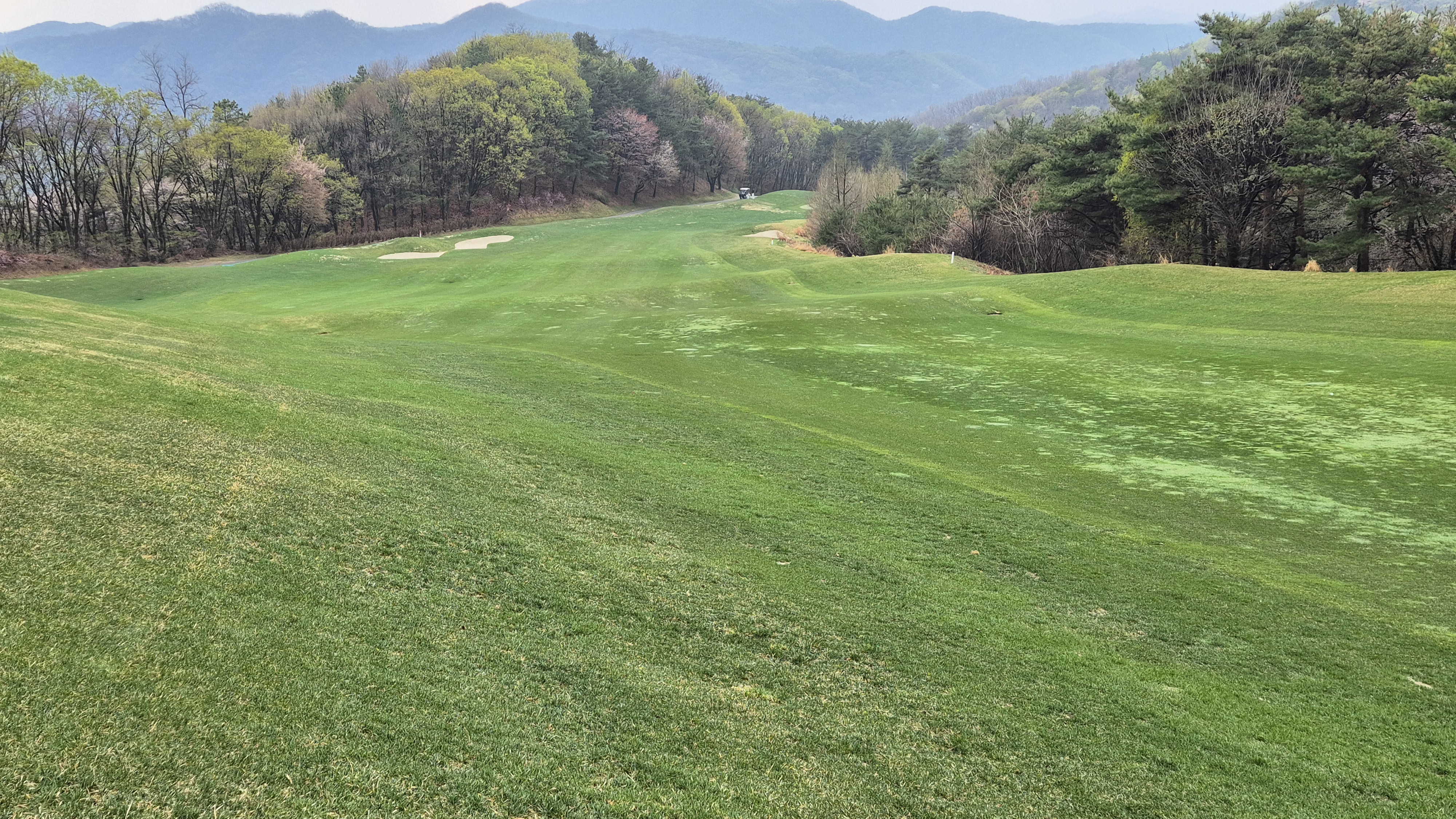 레인보우힐스cc 동-남 코스 사진 및 공략 정보