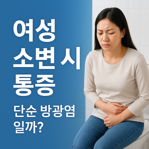 화장실에서 아랫배를 부여잡고 소변 통증으로 고민하는 한국인 여성