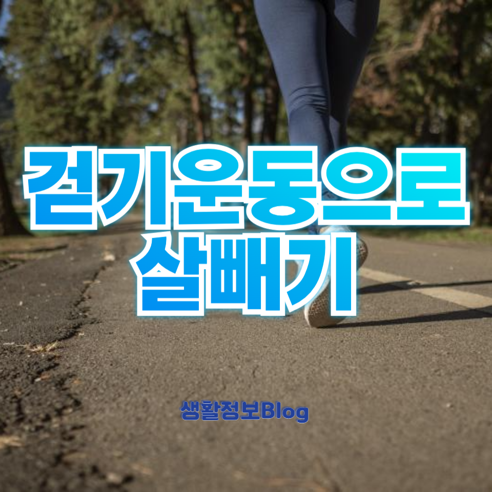 걷기운동으로 살빼기