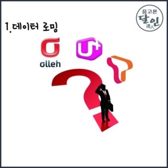 해외로밍방법 바로 알아보기 (2)