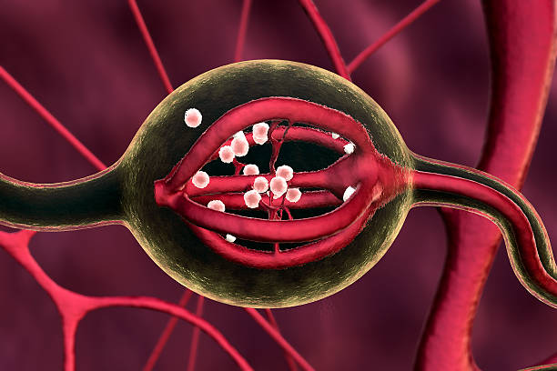 과탄산혈증(hypercapnia) 증상