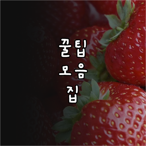 2025년 법무부 청소년 자립생활관 ..