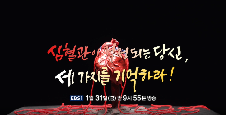 몀의 심혈관 질환