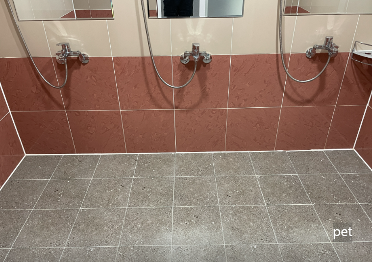 경기-파주-강나루야영-예약-방법-애견-동반-가격-주소-시간-후기