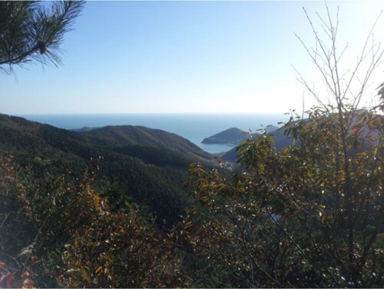 남해 편백자연휴양림 풍경사진