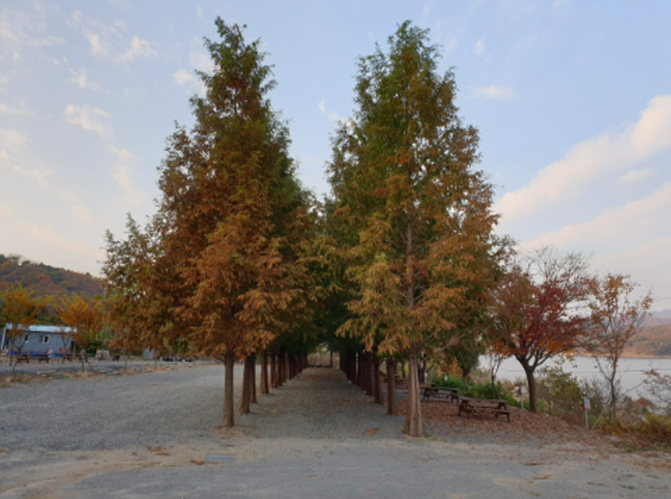 청풍호반 오토캠핑장