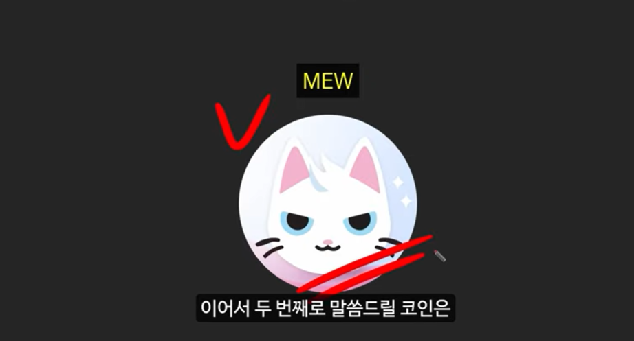 베이비 도지 코인의 급등 이유와 일론 머스크의 영향 ❘ 밈 코인 시장 전망