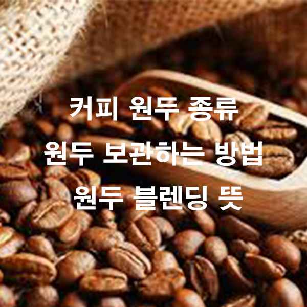 커피 원두 종류 원두 보관하는 방법 원두 블렌딩 뜻