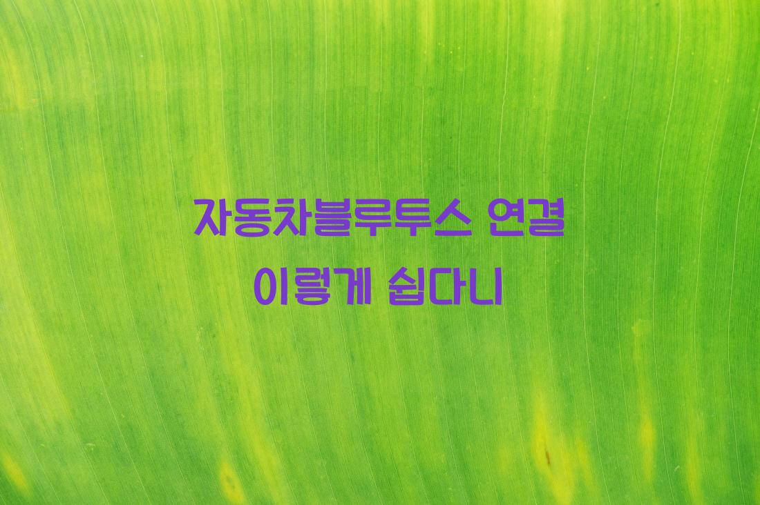 자동차블루투스