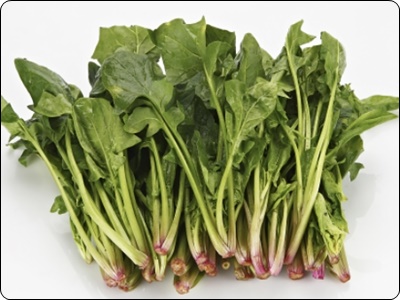 글루타치온 많이든 음식