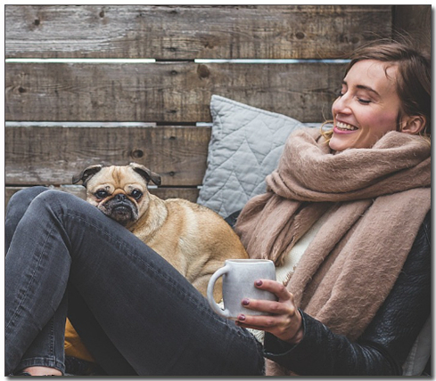 주인품에 안겨있는 퍼그