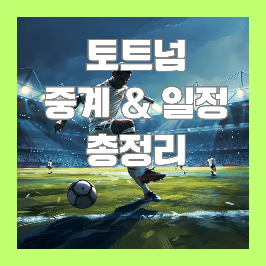 토트넘 일정
