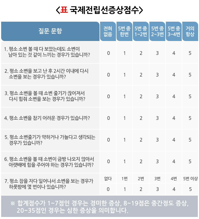 표로-그려진-국제전립선증상점수표