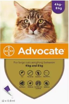 고양이-심장사상충-약-애드보킷