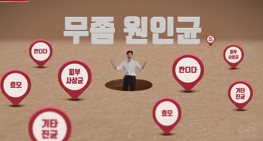 카네스텐 크림