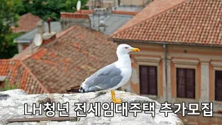 LH청년 전세임대주택 추가모집