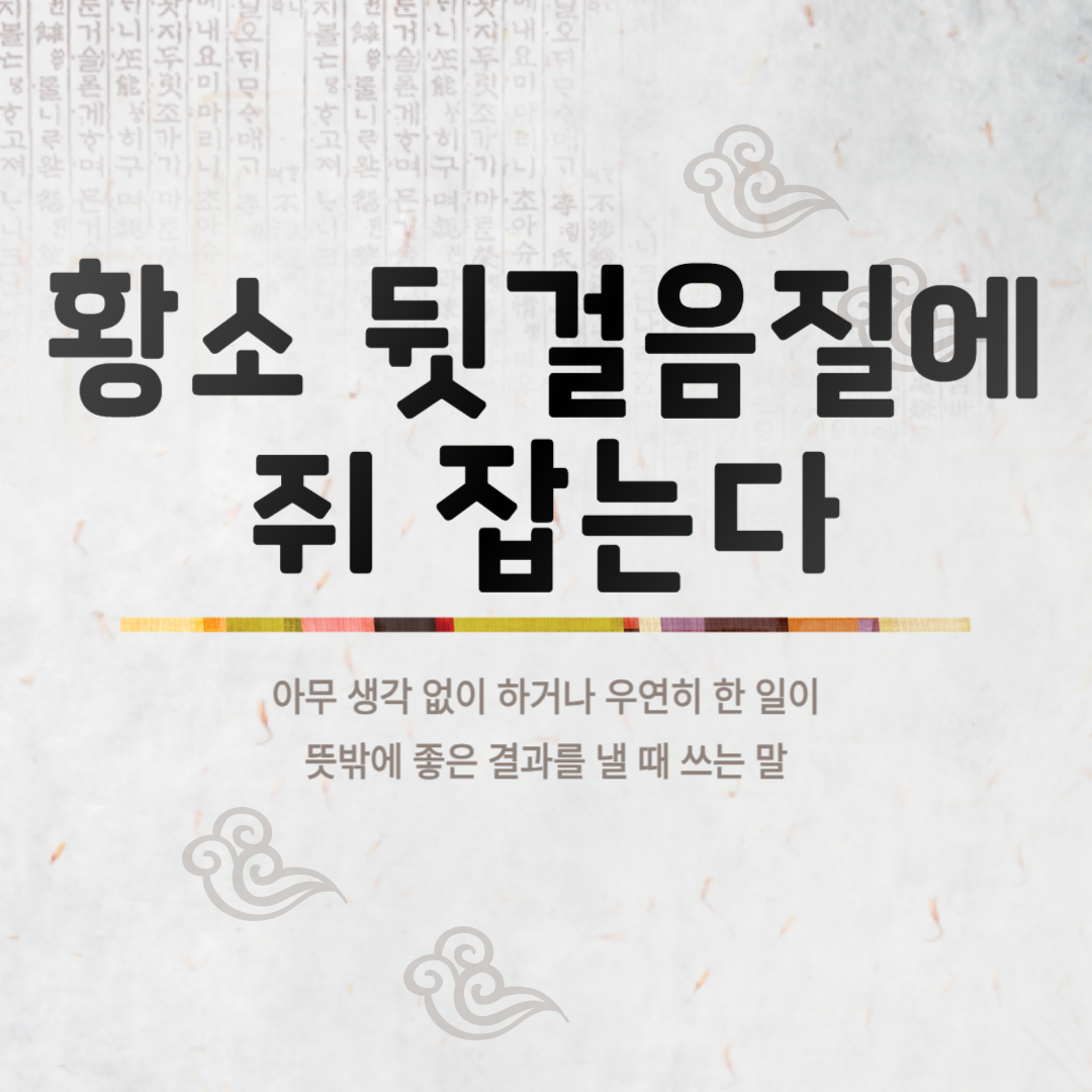 황소 뒷걸음질에 쥐 잡는다