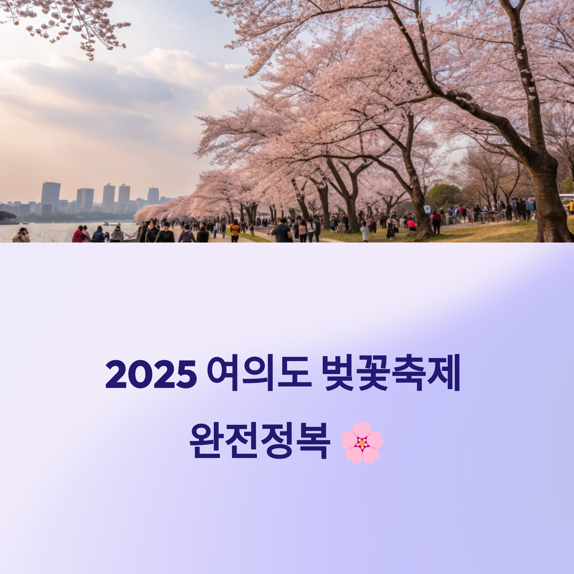 2025 여의도 벚꽃축제 완전정복