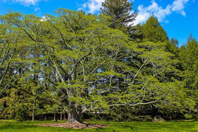 2025 숙박세일페스타 할인쿠폰 발급방법