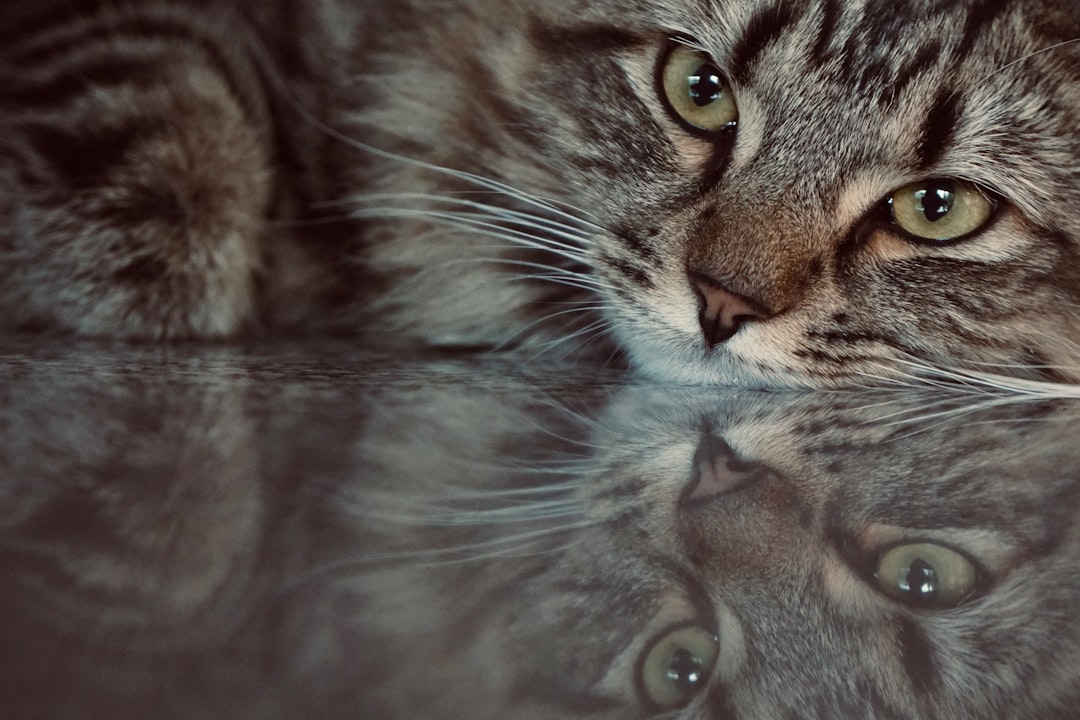 Caregiver.