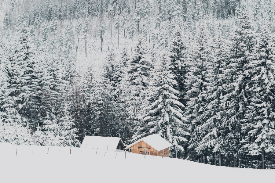 계절별 여행 포토존 추천