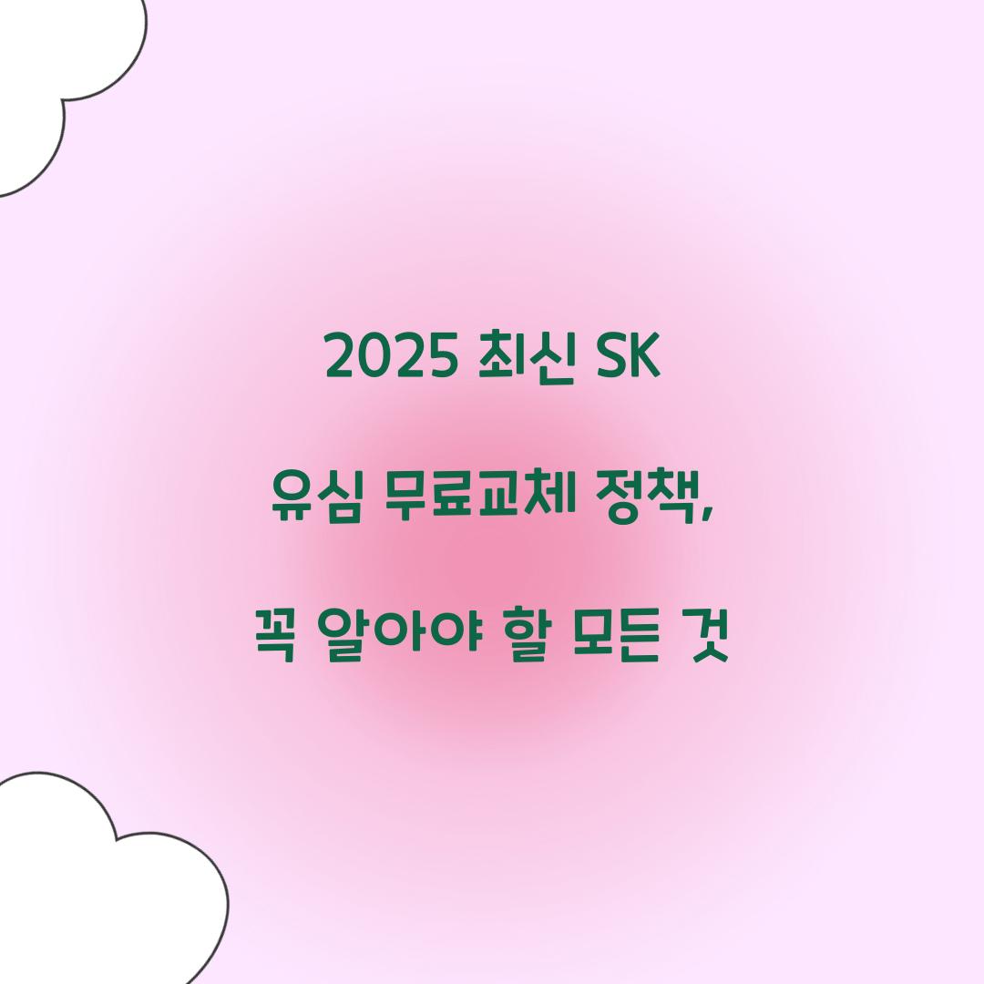 2025 최신 SK 유심 무료교체 정책